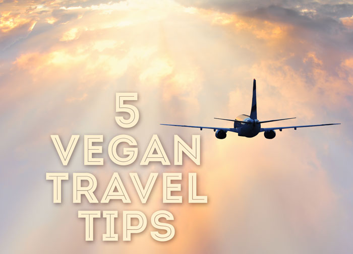 Five Vegan Travel Tips To Help You Survive - Full Of Beans